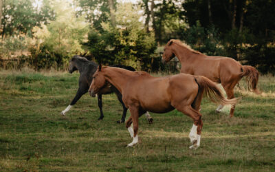 Do czego woła Cię Twoja dusza? – 20.07.2025