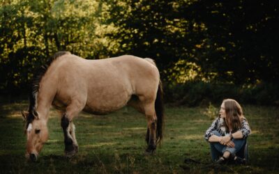 JESIENNY WARSZTAT W ASYŚCIE KONI – 26.10.2025