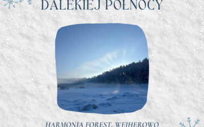 Opowieści z dalekiej północy